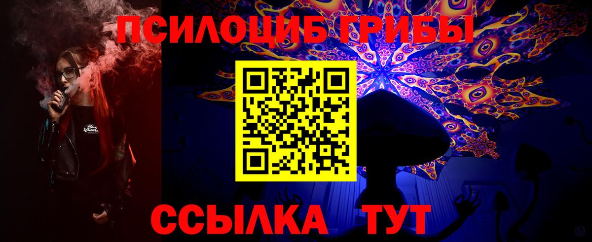 Псилоцибиновые грибы GOLDEN TEACHER  Вход с VPN  Нижний Тагил 